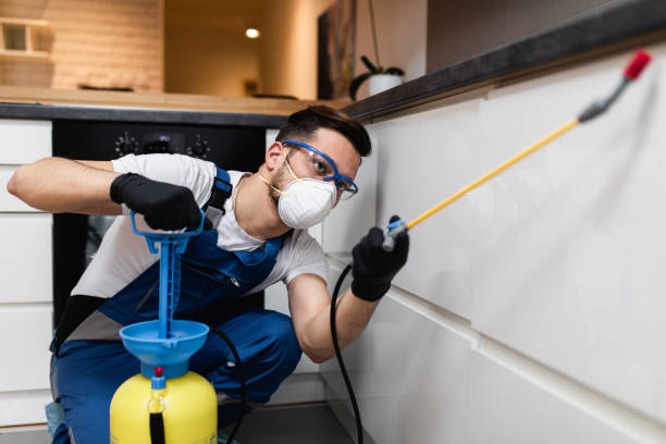 Trusted Riverside, ID Pest Control Experts