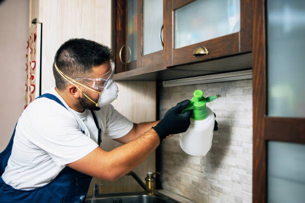Best Bed Bug Extermination  in Riverse, ID