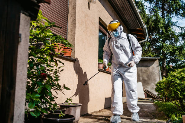 Best Pest Control Near Me  in Riverse, ID
