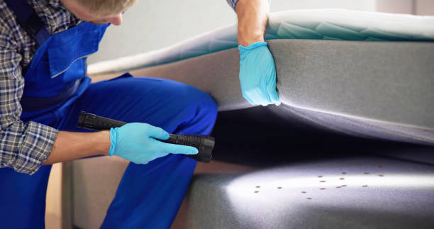 Pest Prevention Services in Riverside, ID