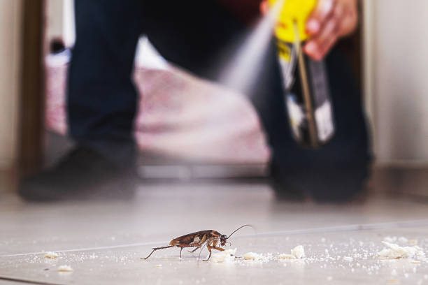 Best Affordable Pest Control Services  in Riverse, ID