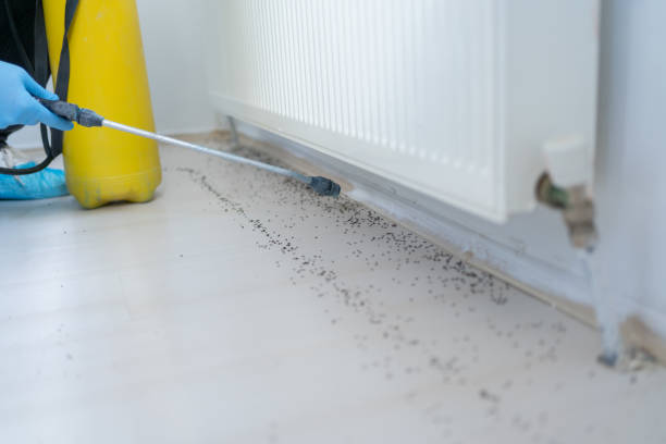 Best Cockroach Control Services  in Riverse, ID