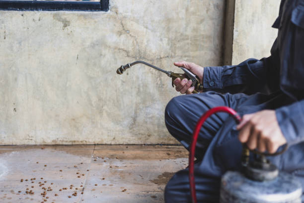 Best Termite Control Services  in Riverse, ID