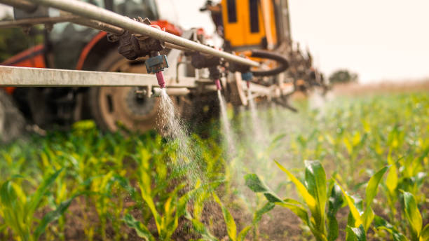 Best Wildlife Control Services  in Riverse, ID